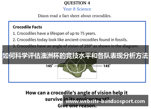 如何科学评估澳洲杯的竞技水平和各队表现分析方法